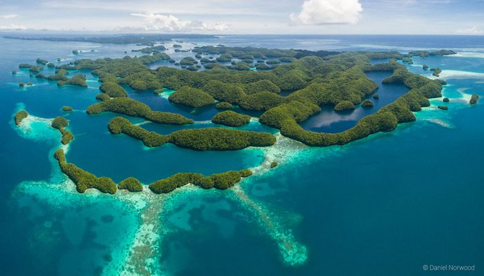 Palau is a paradise under the sea as well as above it. Photo: Siren Fleet