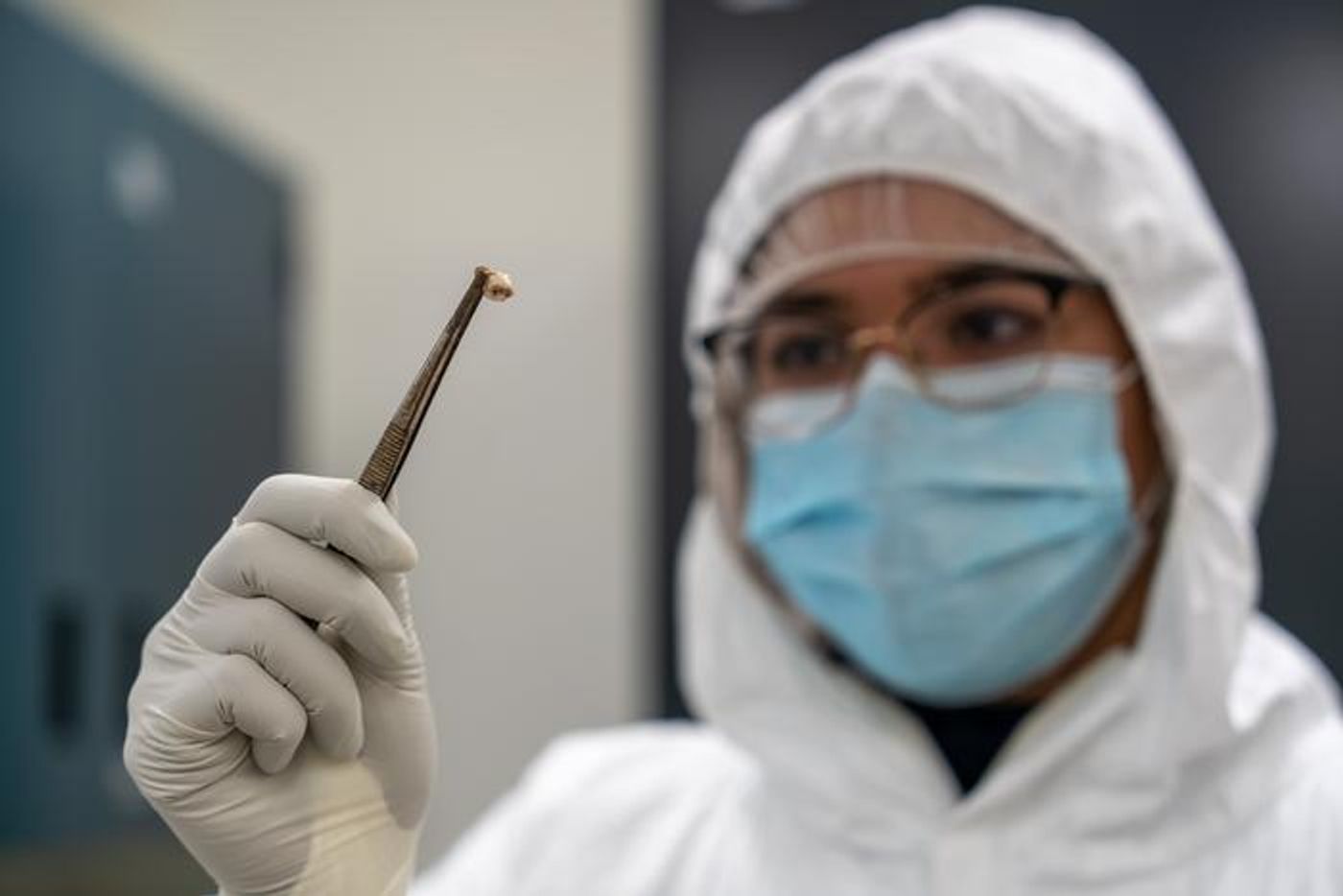 Co-lead author Ravneet Sidhu examines an ancient human tooth at the McMaster Ancient DNA Centre. / Credit: McMaster University