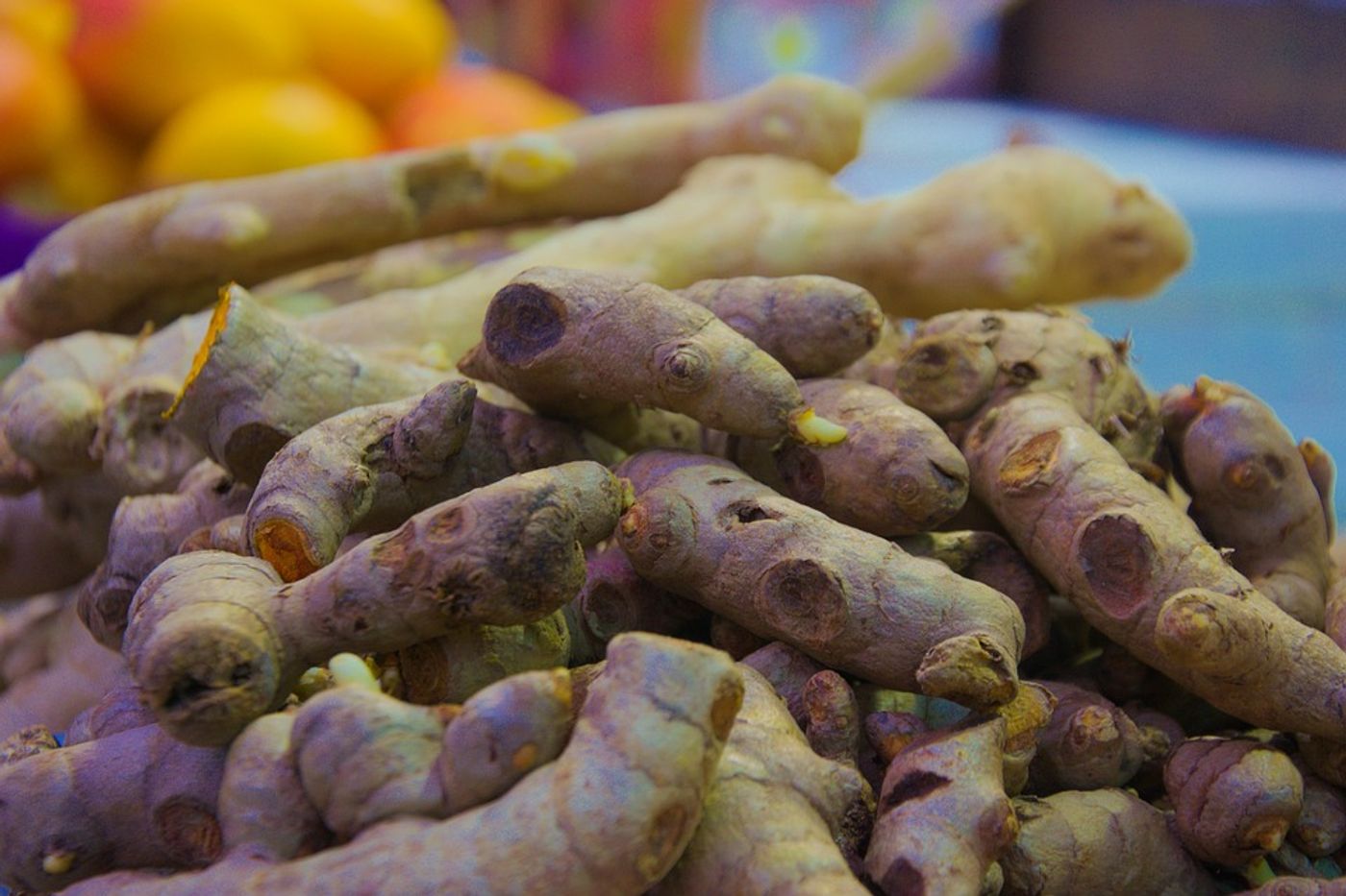 Turmeric, public domain image