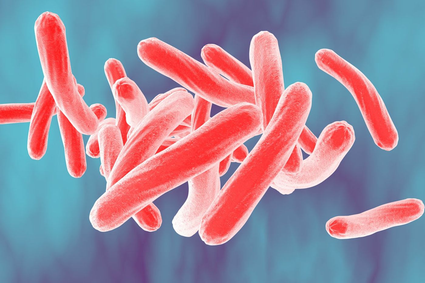 New drugs to treat tuberculosis?