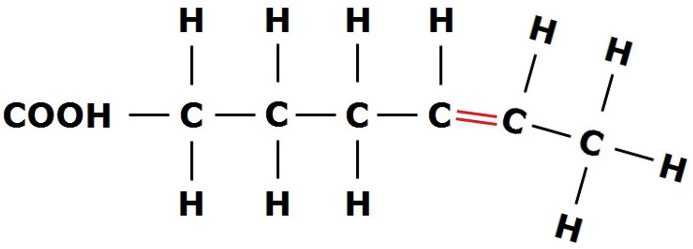 Fatty acids help determine cell size. 