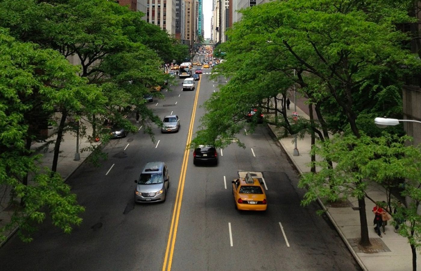 Do trees in an urban setting grow faster than those in a rural setting? A new study says yes.