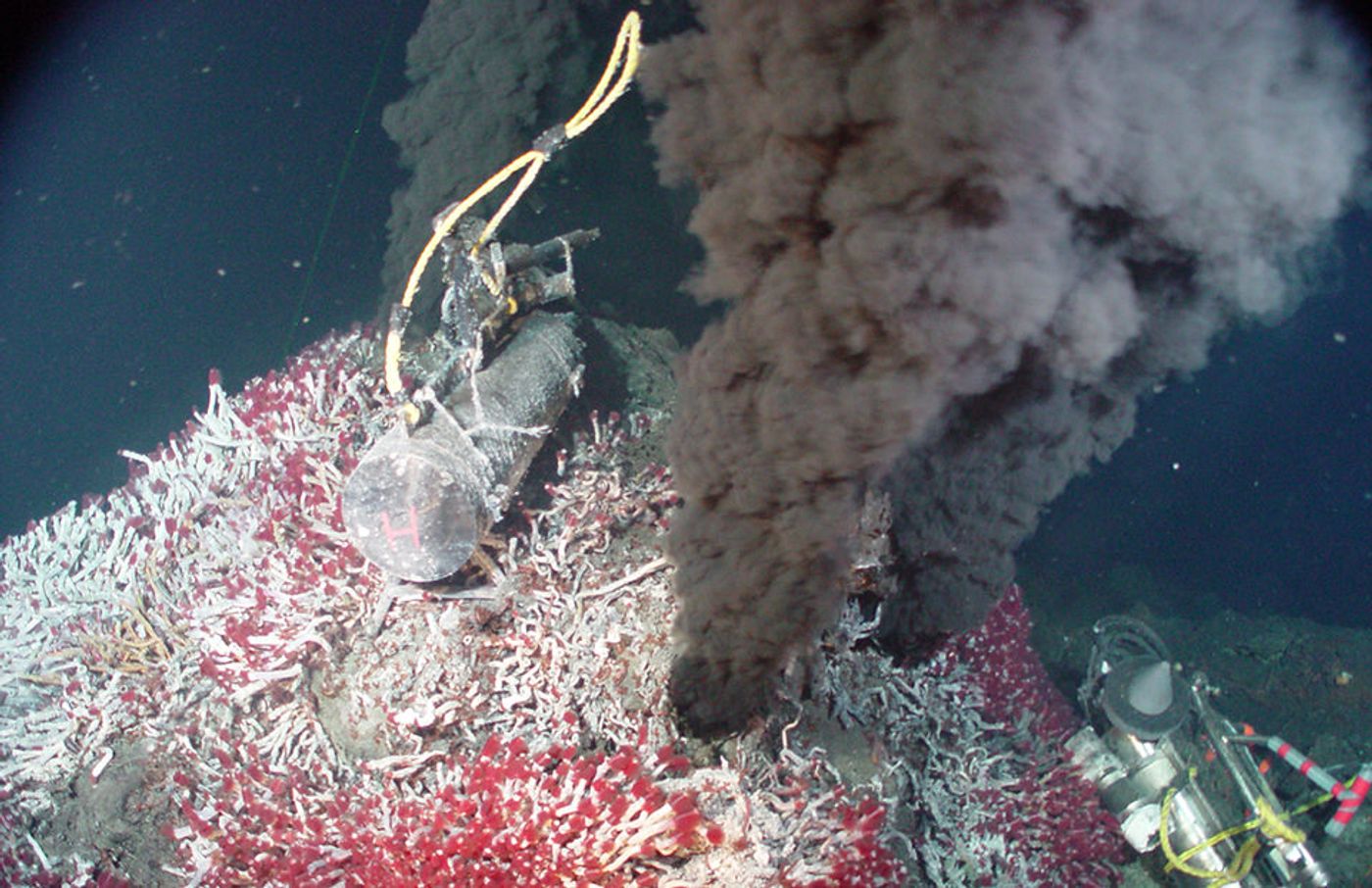 A "black smoker" hydrothermal vent (NOAA)