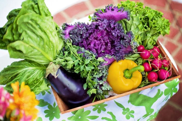 Eating Veggies Helps Strengthen Neck Arteries in the Elderly | Cardiology