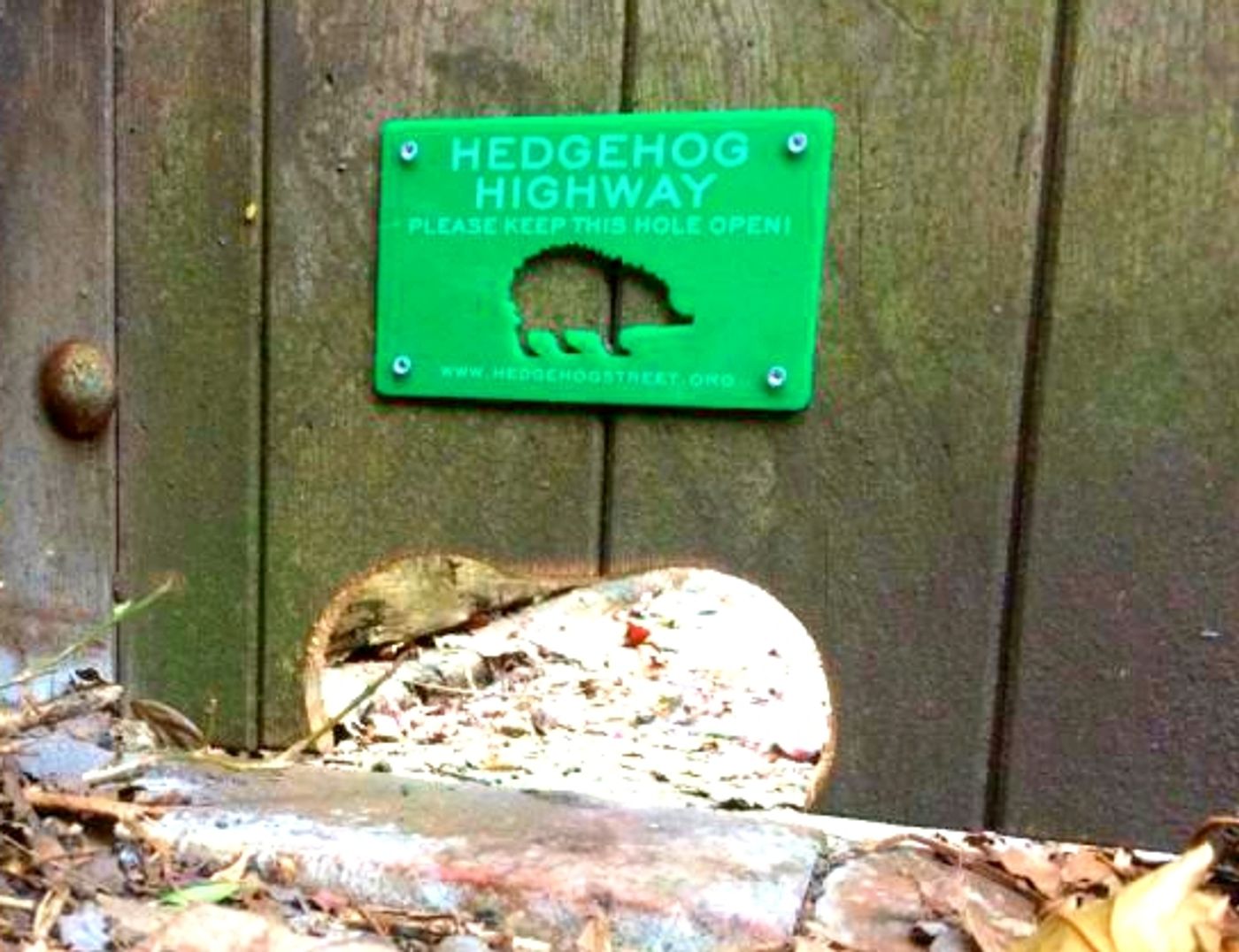 Hedgehog Highway, credit: Hedgehog Street 