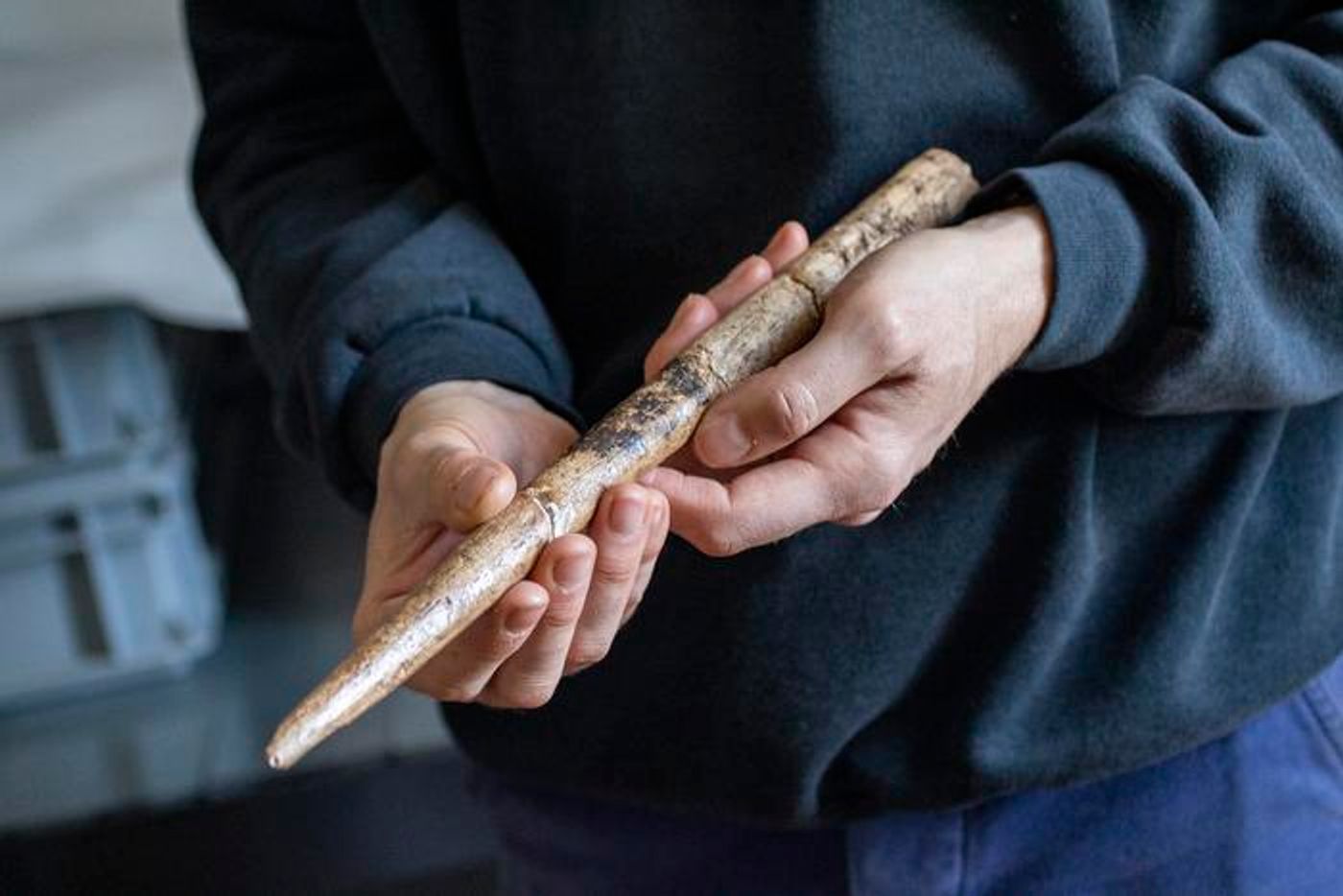 Large projectile point made of Gray Whale bone from the Duruthy rockshelter, Landes, France, dated between 18,000 and 17,500 years ago. /  Credit: Alexandre Lefebvre