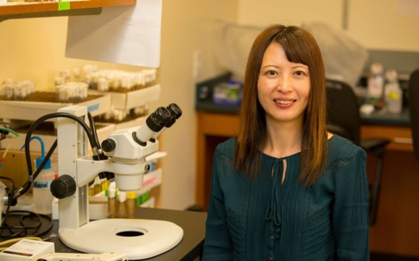 Xinnan Wang and her colleagues found that a defect within nerve cells could play a critical role in Parkinson's disease. / Credit: Stanford News - Norbert von der Groeben