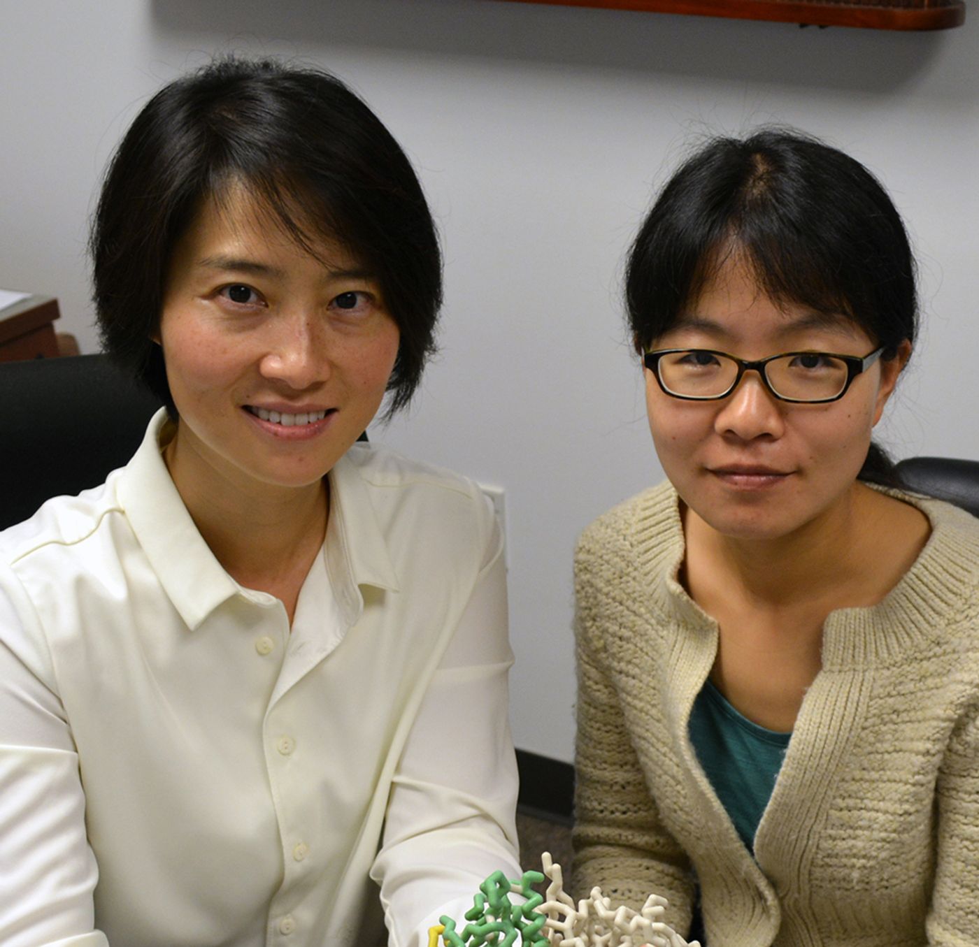 The Scripps Research Institute Professor Xiang-Lei Yang (left) and Research Associate Zhongying Mo were key authors of the new study. (TSRI)