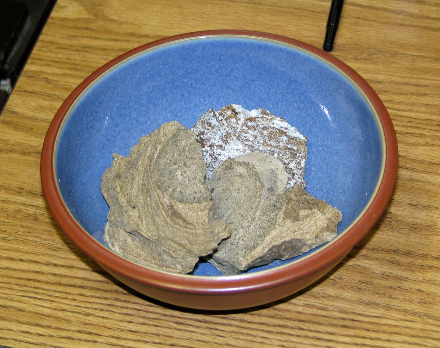 Ambergris doesn't really look like anything special, but perfurm makers say it's useful for retaining scents.