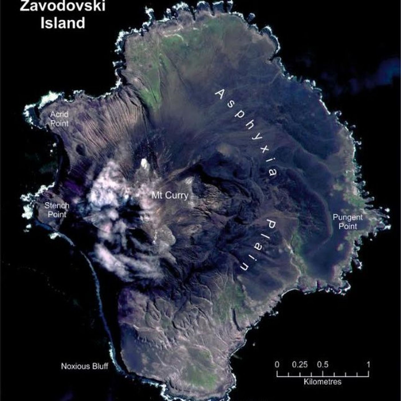 The eruption has covered half the island in ash CREDIT: PETER FRETWELL, BRITISH ANTARCTIC SURVEY 