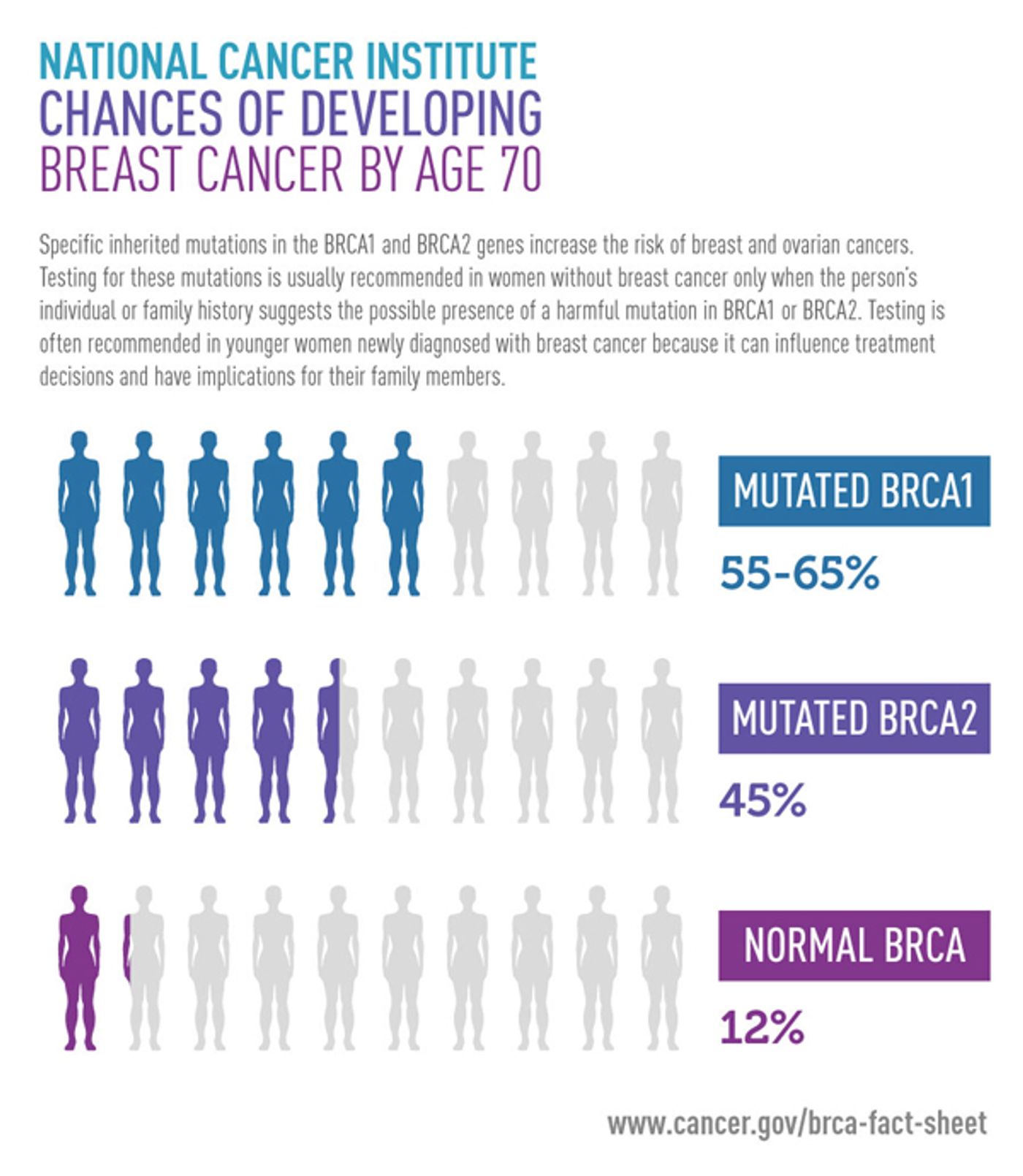 Breast cancer risk analysis: The discovery of BRCA gene variants improved early breast and ovarian cancer screening.