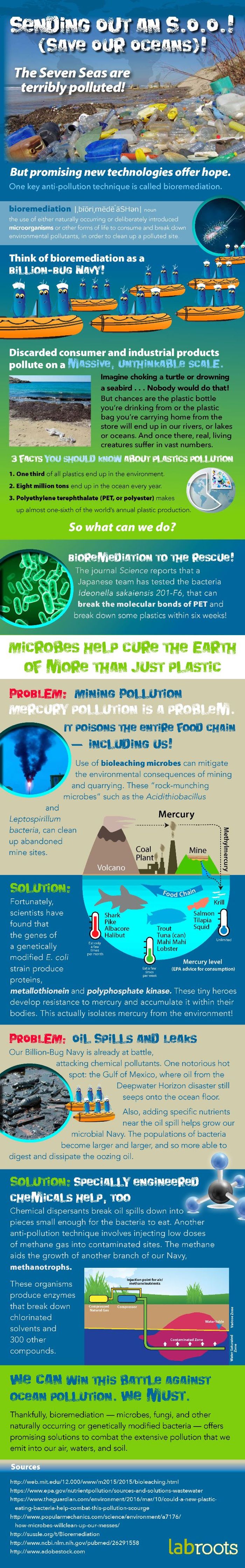 Bioremediation the tool to combat our pollutants Infographics