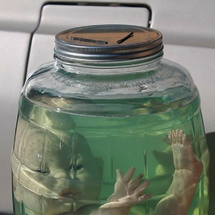 Preserving The Brain And Memories Is This For Real Neuroscience