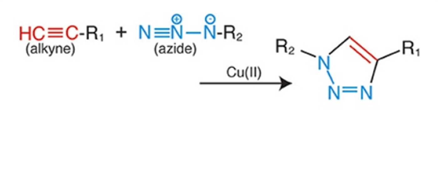 The Click Chemistry reaction, where R1 and R2 are the connecting molecules (the spider protein and the antibiotic)