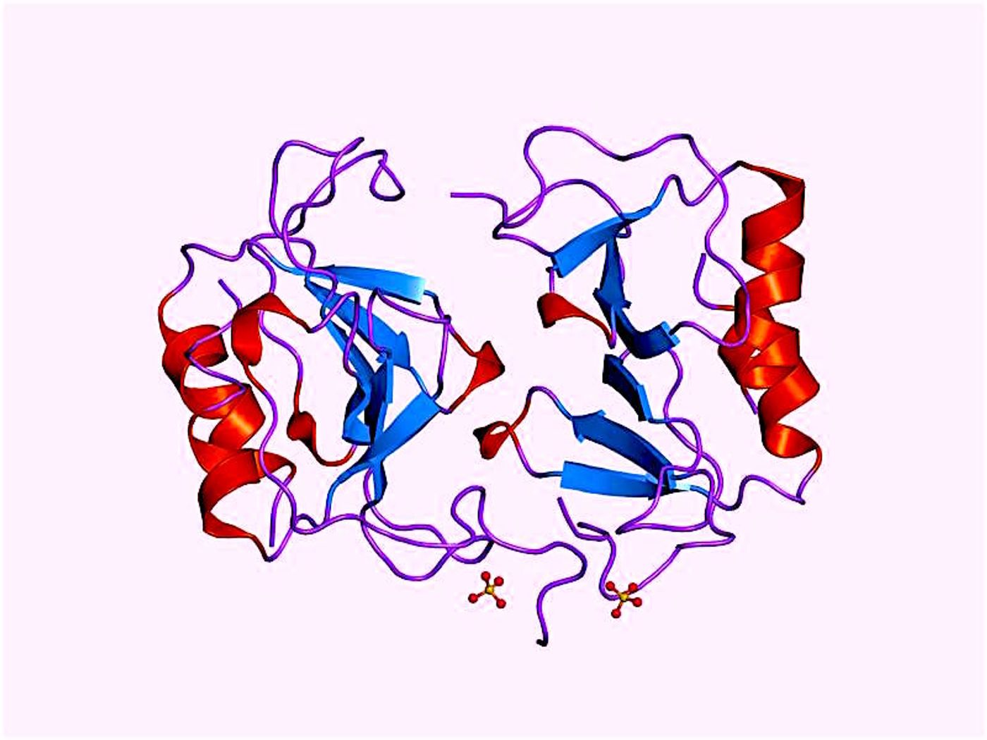 The CXCL10 protein is shown here.