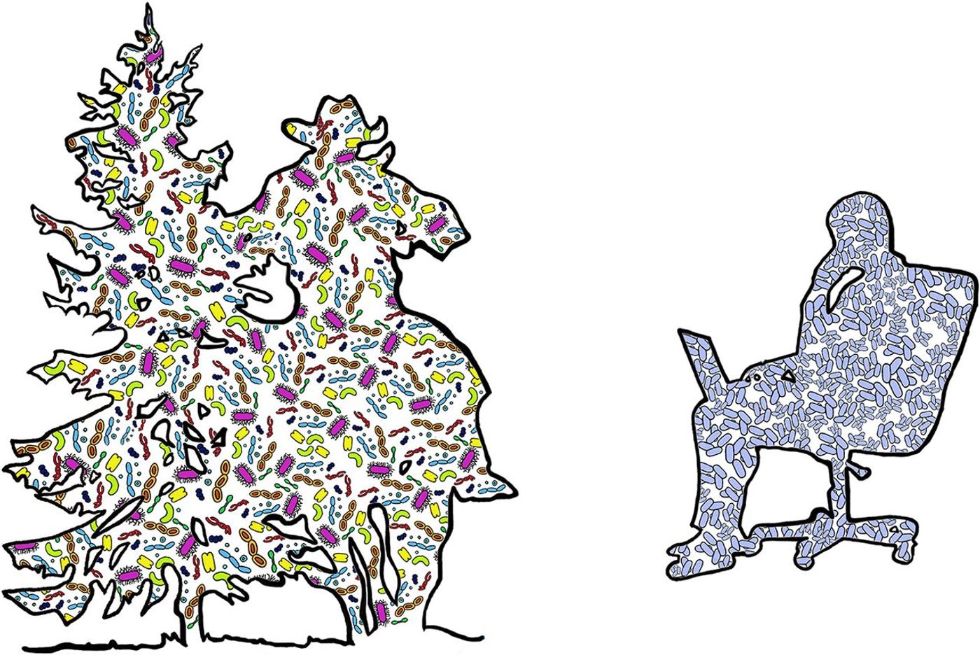 Microbial diversity in the outdoors versus BEs. On the left, a cowboy, and on the right, an office worker. Blue microbes are associated with humans, other colors display nonhuman microbial diversity.