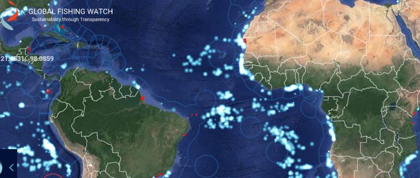 Global Fishing Watch map, credit: Global Fishing Watch