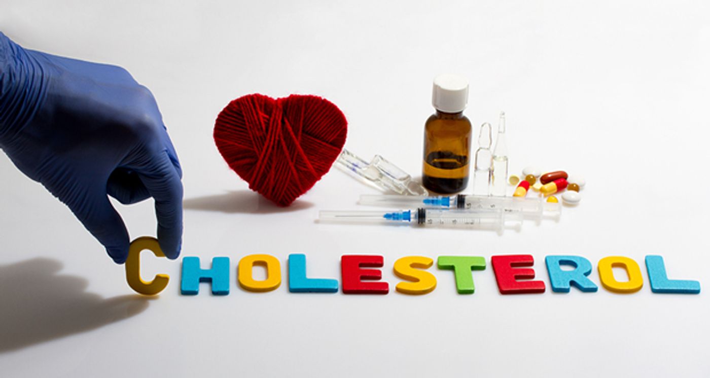 Statins inhibit the production of cholesterol