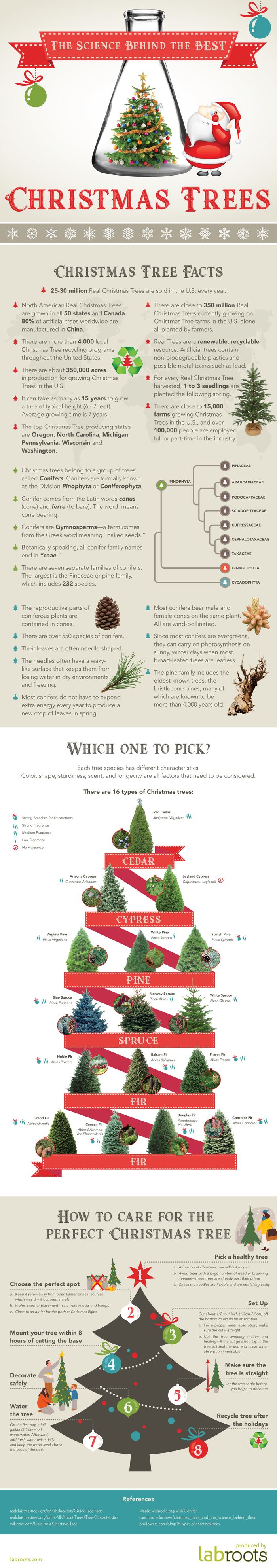 The science Behind the Best Christmas Trees Plants And Animals