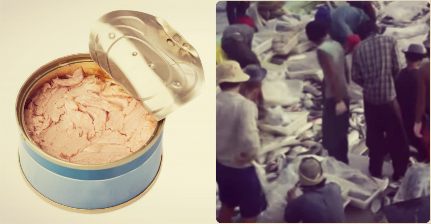  image of tuna can, image of people in slavery in the fishing industry, credit: public domain, AP, Ko Ko Simon