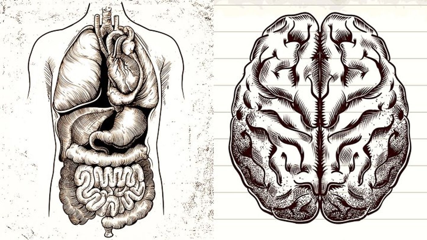 Gut microbes may predict Parkinson's disease.