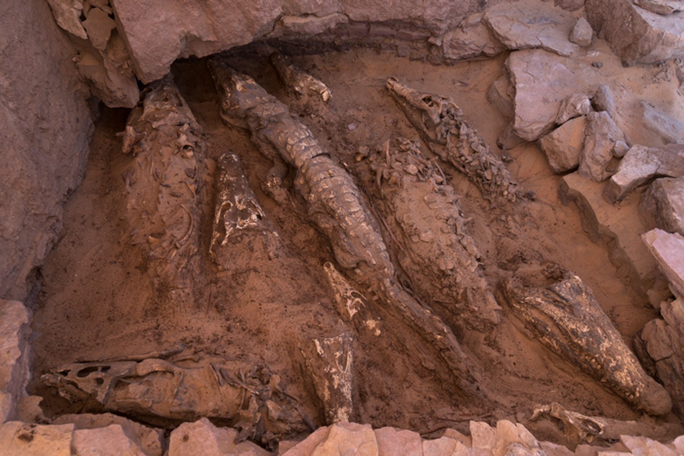 Above the interred crocodiles. Image Credit: Patri Mora Riudavets, member of the Qubbat al-Hawā team, CC-BY 4.0 (https://creativecommons.org/licenses/by/4.0/)