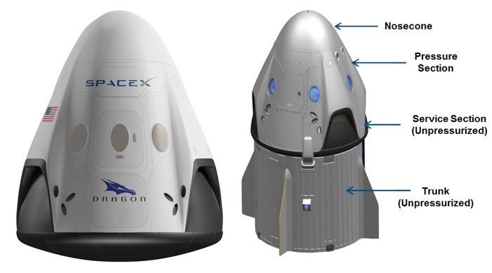 An illustration of SpaceX's Crew Dragon capsule.