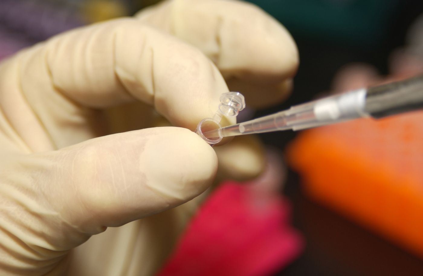 An NHGRI researcher uses a pipette to remove DNA from a micro test tube. / Credit: Wikimedia Commons/Maggie Bartlett, NHGRI