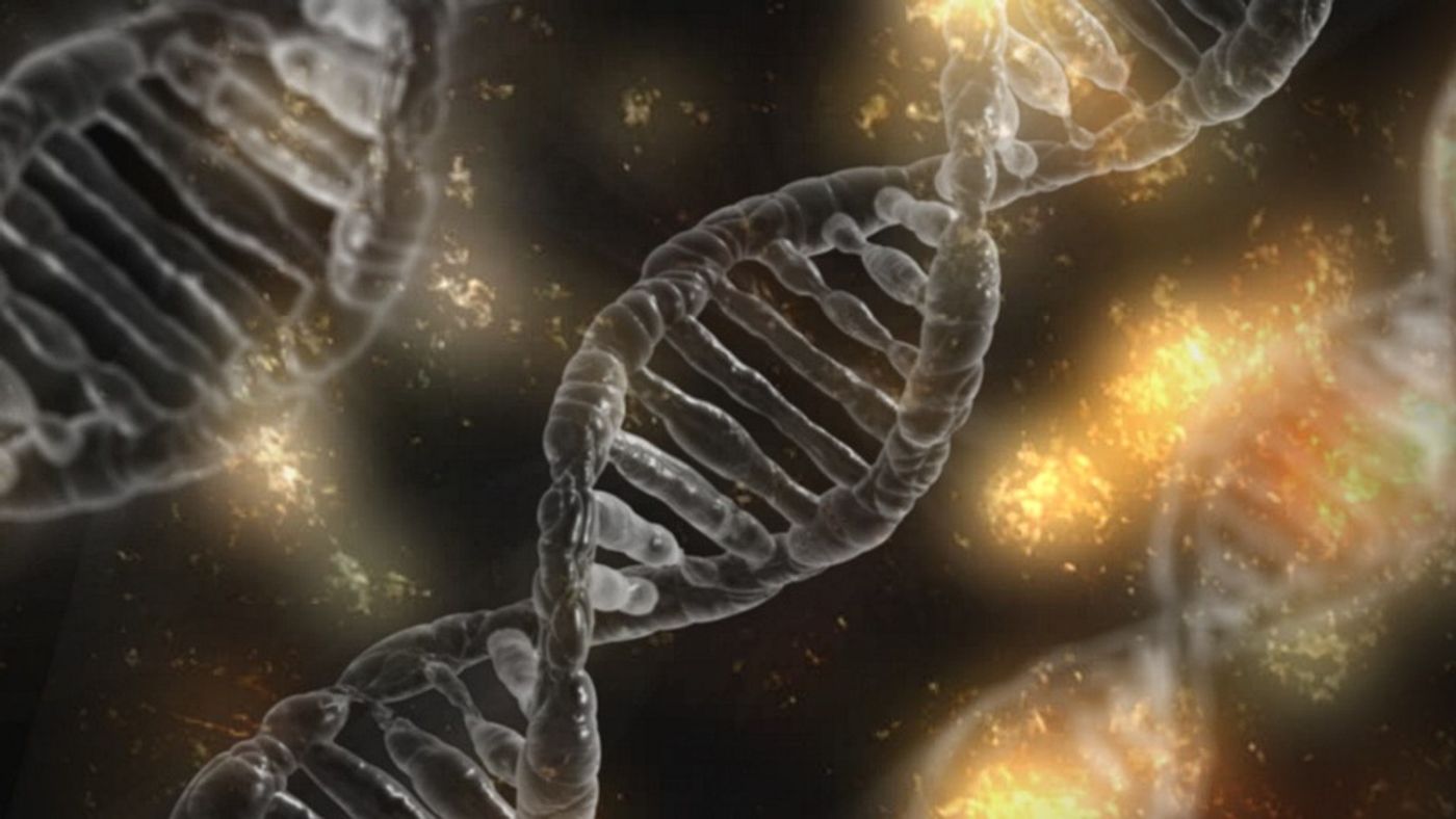 CRISPR gene editing shows great potential. / Image credit: Pixabay