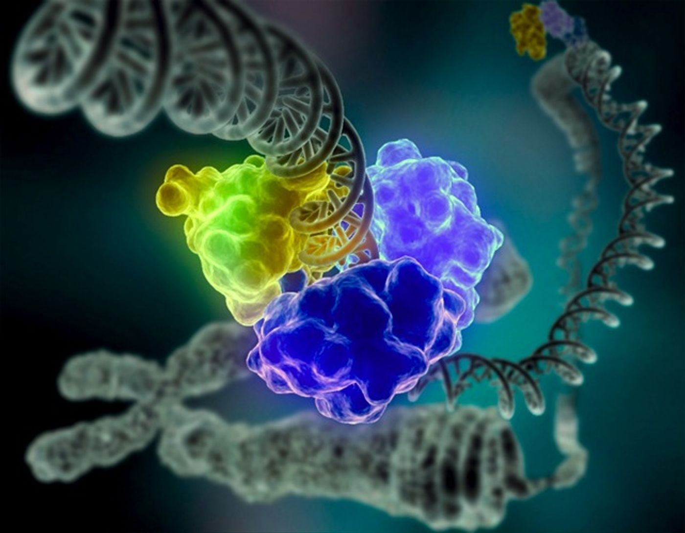 A rendering of DNA repair from Wikipedia