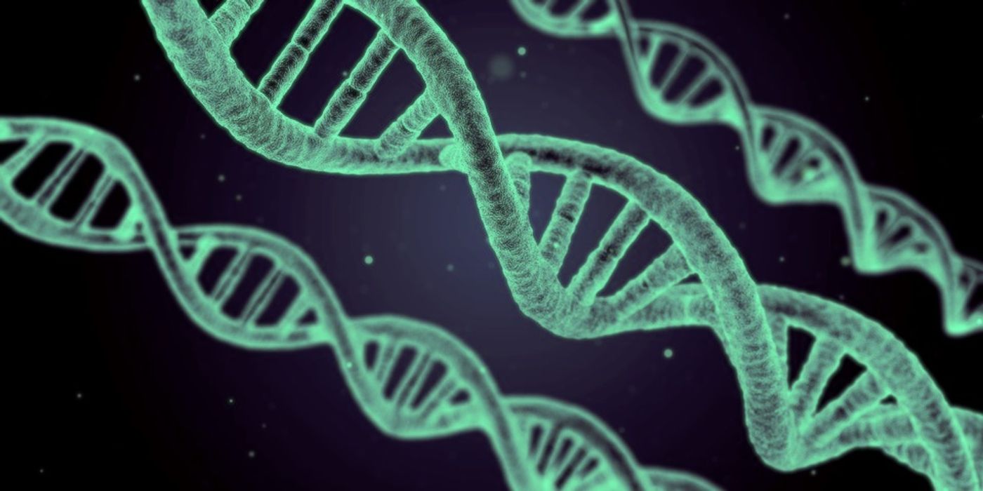 When cells divide and DNA replication occurs, mutations can be introduced. / Image Credit: Pixabay
