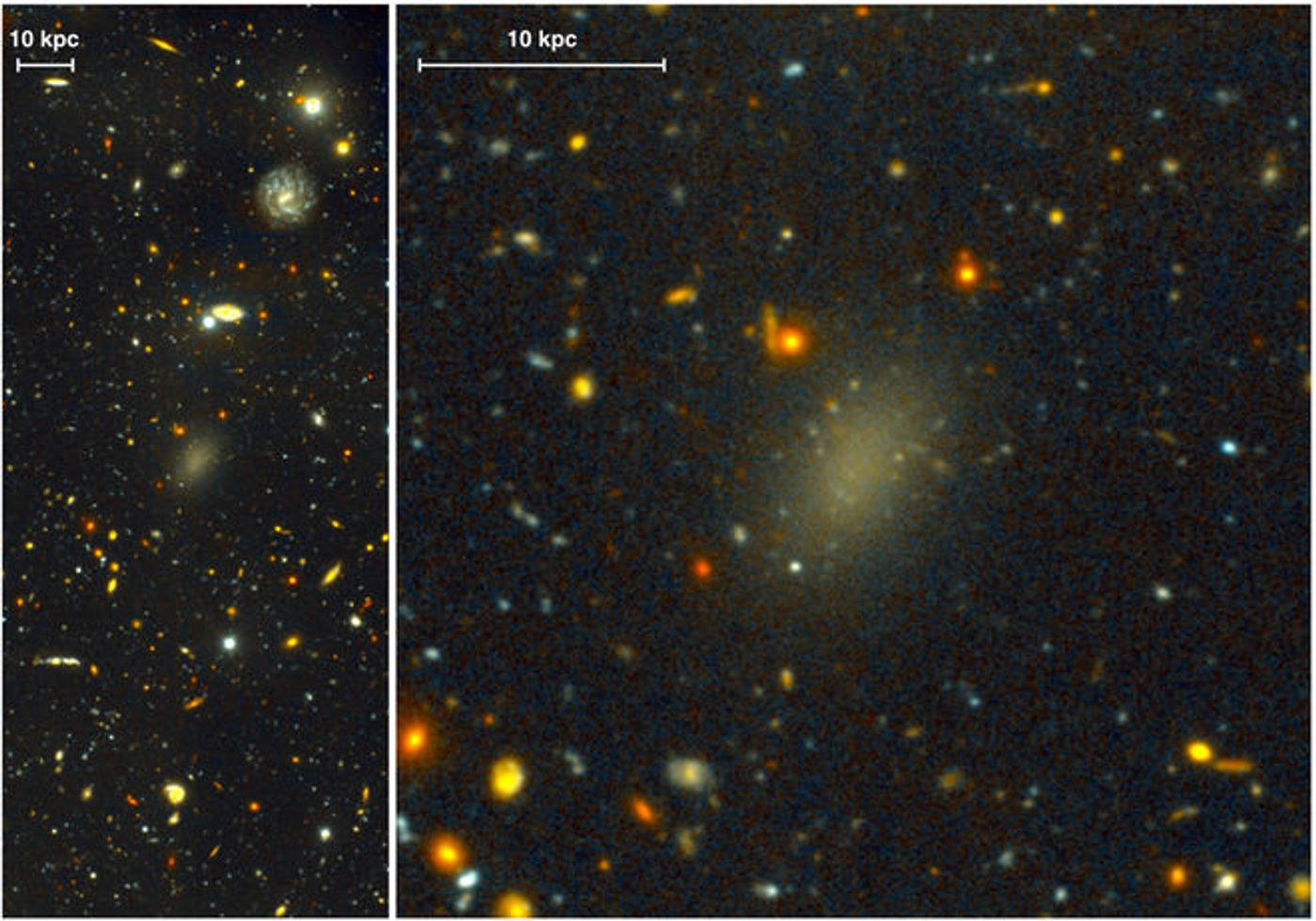 The faint galaxy named Dragonfly 44, as observed by the Gemini telescope.