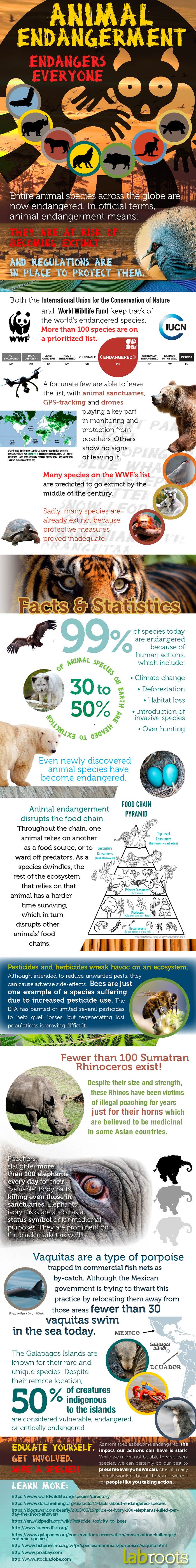 Animal Endangerment Endangers Everyone Infographics