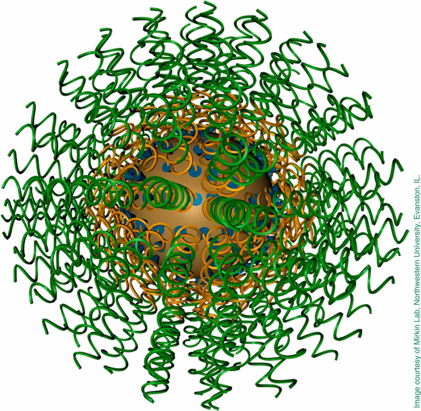 Spherical gold nucleic acid nanoparticle. Source: PNAS