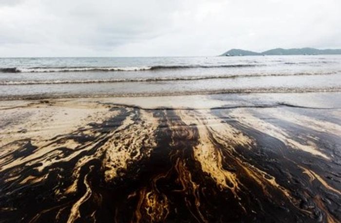 Humans responsible for over 90% of the world’s oil slicks |  Earth And The Environment
 TOU