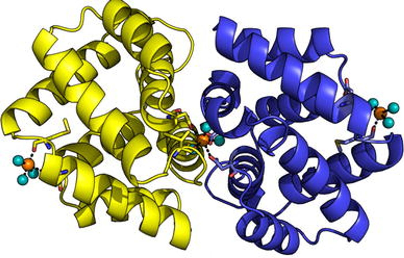 Cats with low fel hotsell d1 protein