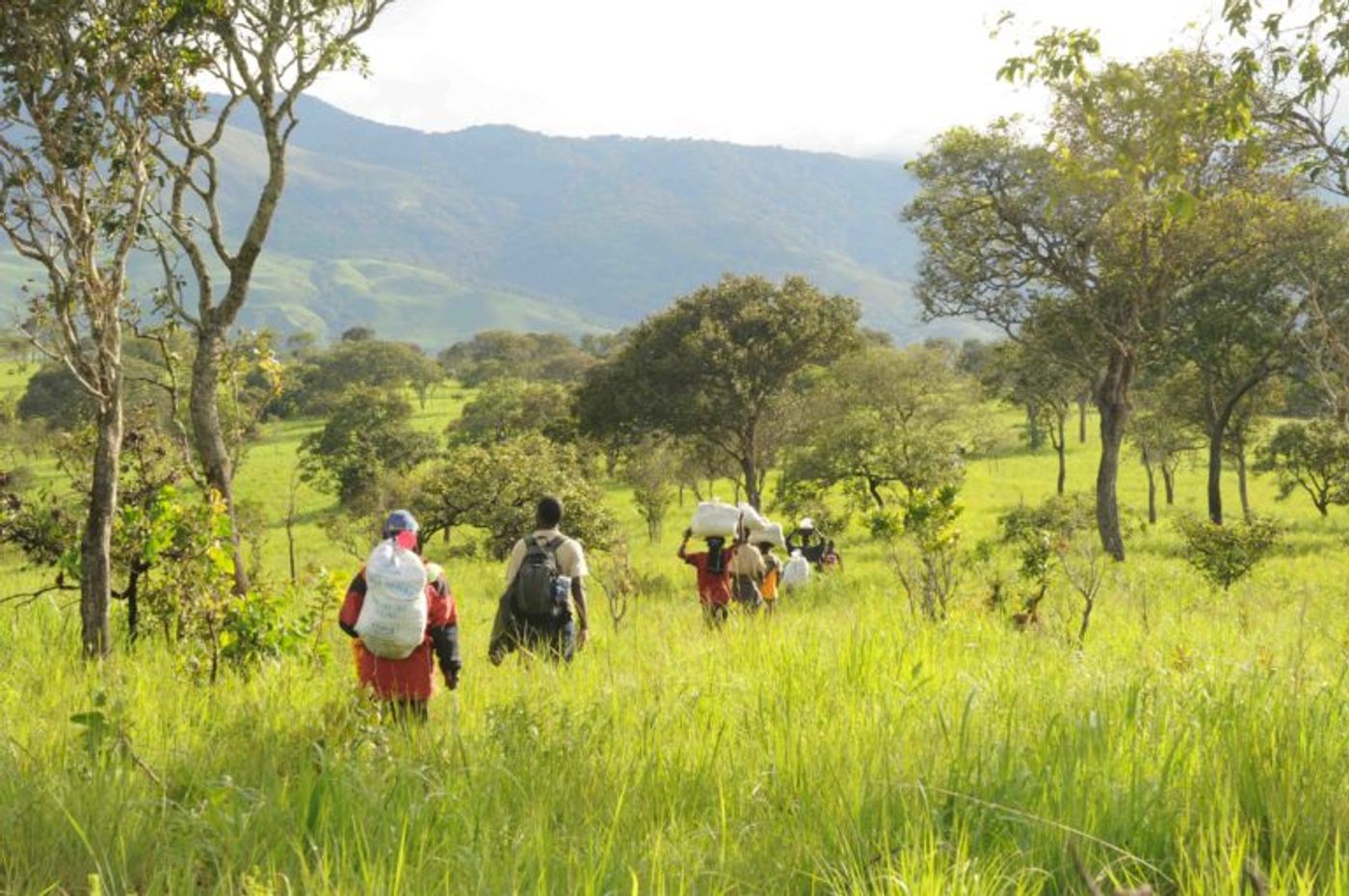 A team surveys Luama Katanga Reserve, adjacent to the newly created Kabobo Natural Reserve in eastern Democratic Republic of Congo. Photo by Andy Plumptre/WCS