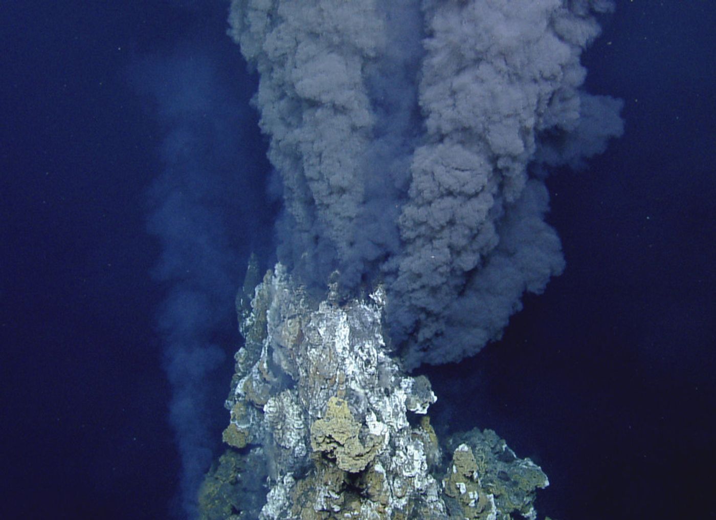 Hydrothermal vents like this one could provide enough heat for deep-sea skates to incubate their eggs more quickly.