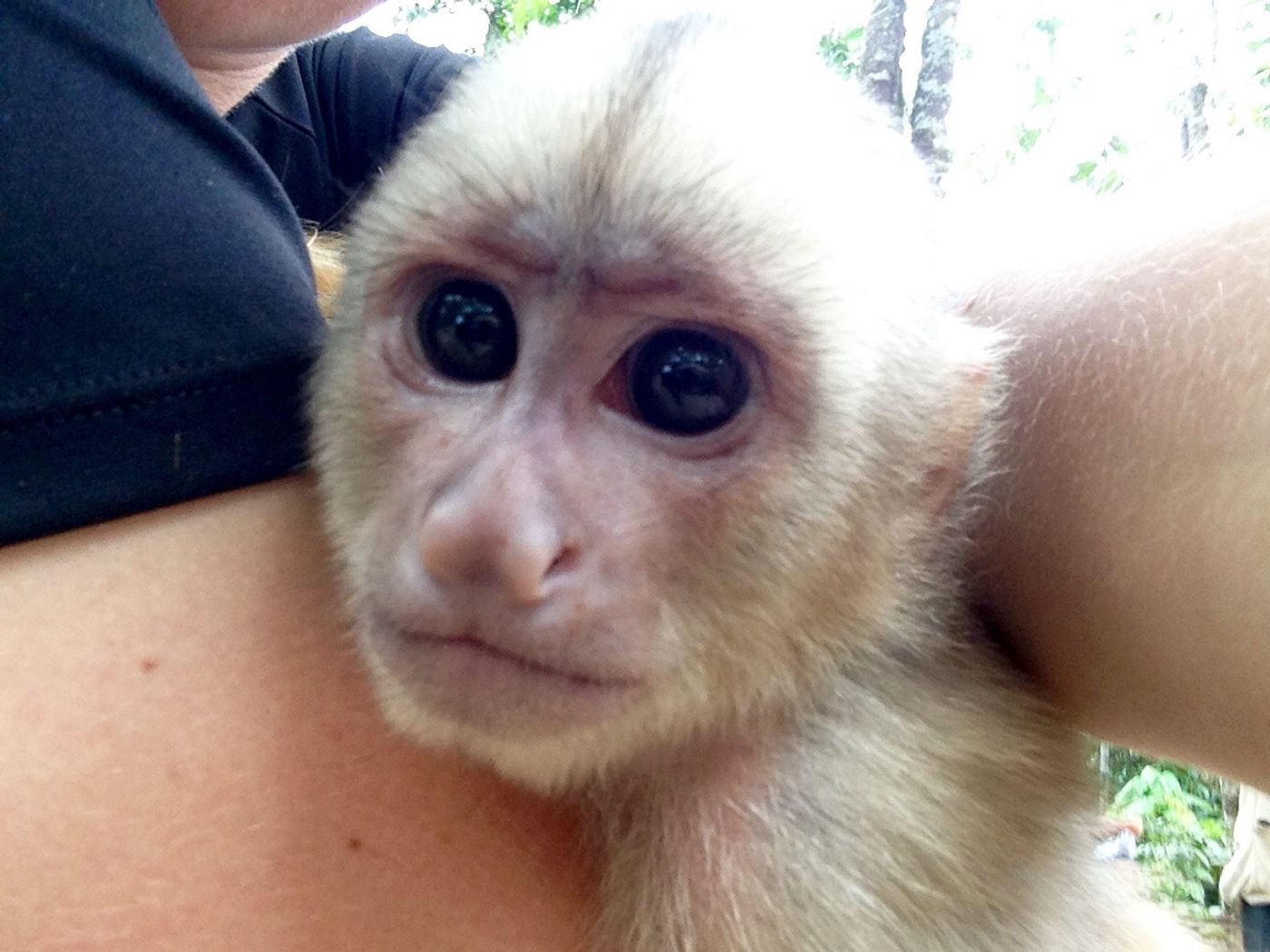 Camelo, posing for the camera as he holds on tight