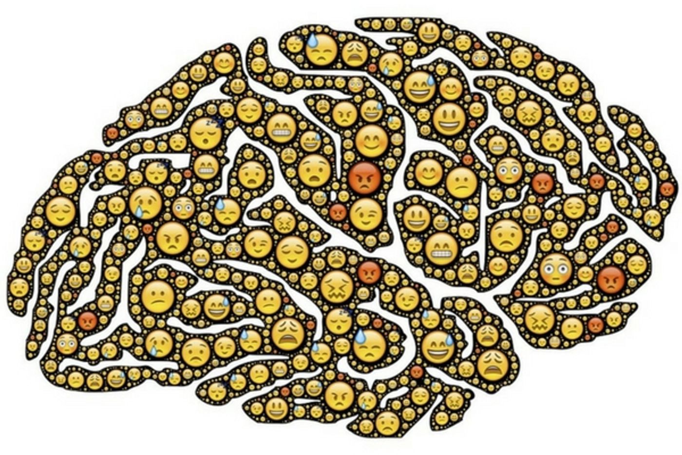 Understanding the neuroscience behind feelings