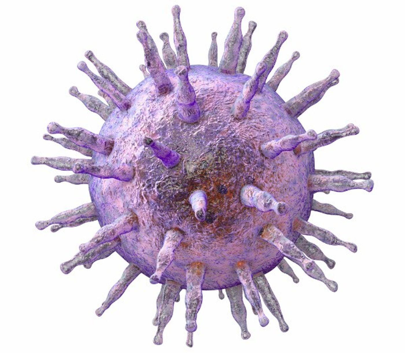 HCMV is a herpesvirus -Labiotech