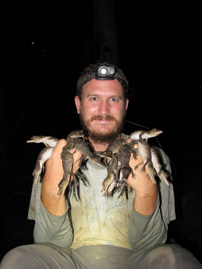 Researcher Matthew Shirley poses for a picture with some of the newly-discovered crocodiles.