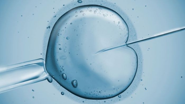 Controversial "three parent baby" also known as mitochondrial replacement therapy may be more risky than expected.
