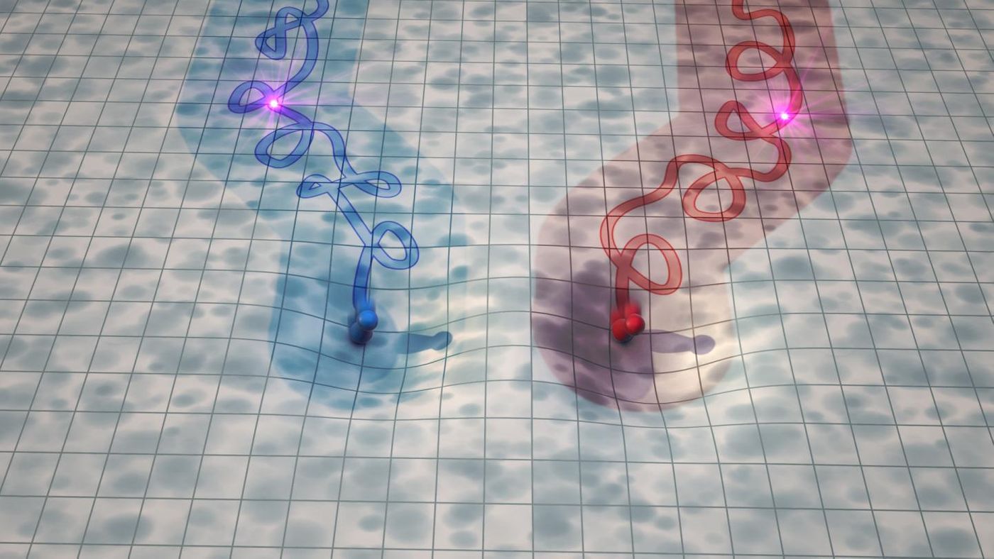 Two immune systems converging with the introduction of a child (pink flash)