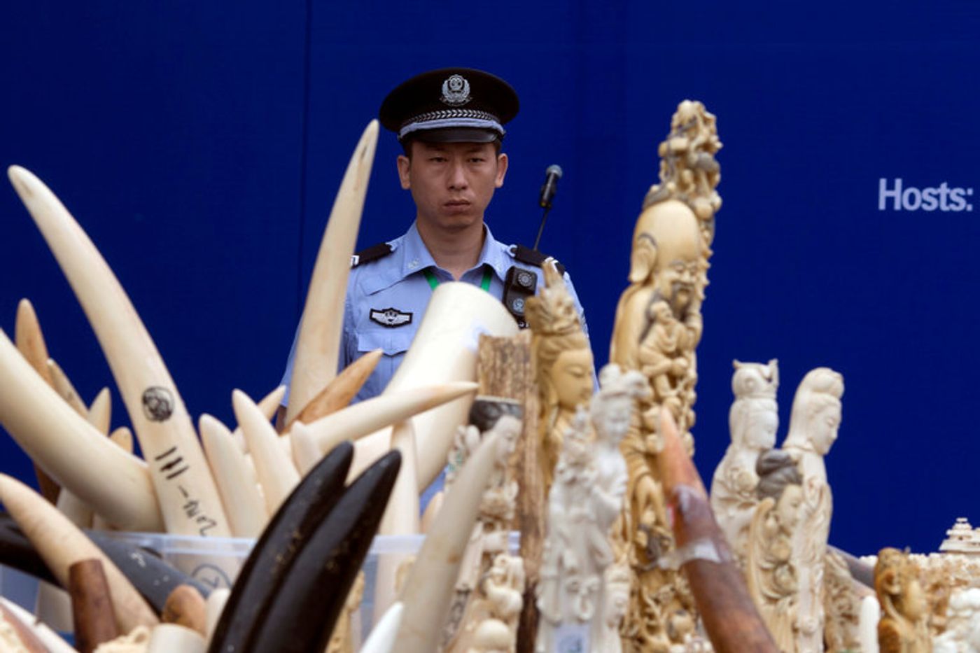 A Chinese police officer watched over ivory products being prepared for destruction during a ceremony in Beijing in 2015. China's ban announced on Friday would shut down the world's largest domestic ivory market. Credit Ng Han Guan/Associated Press