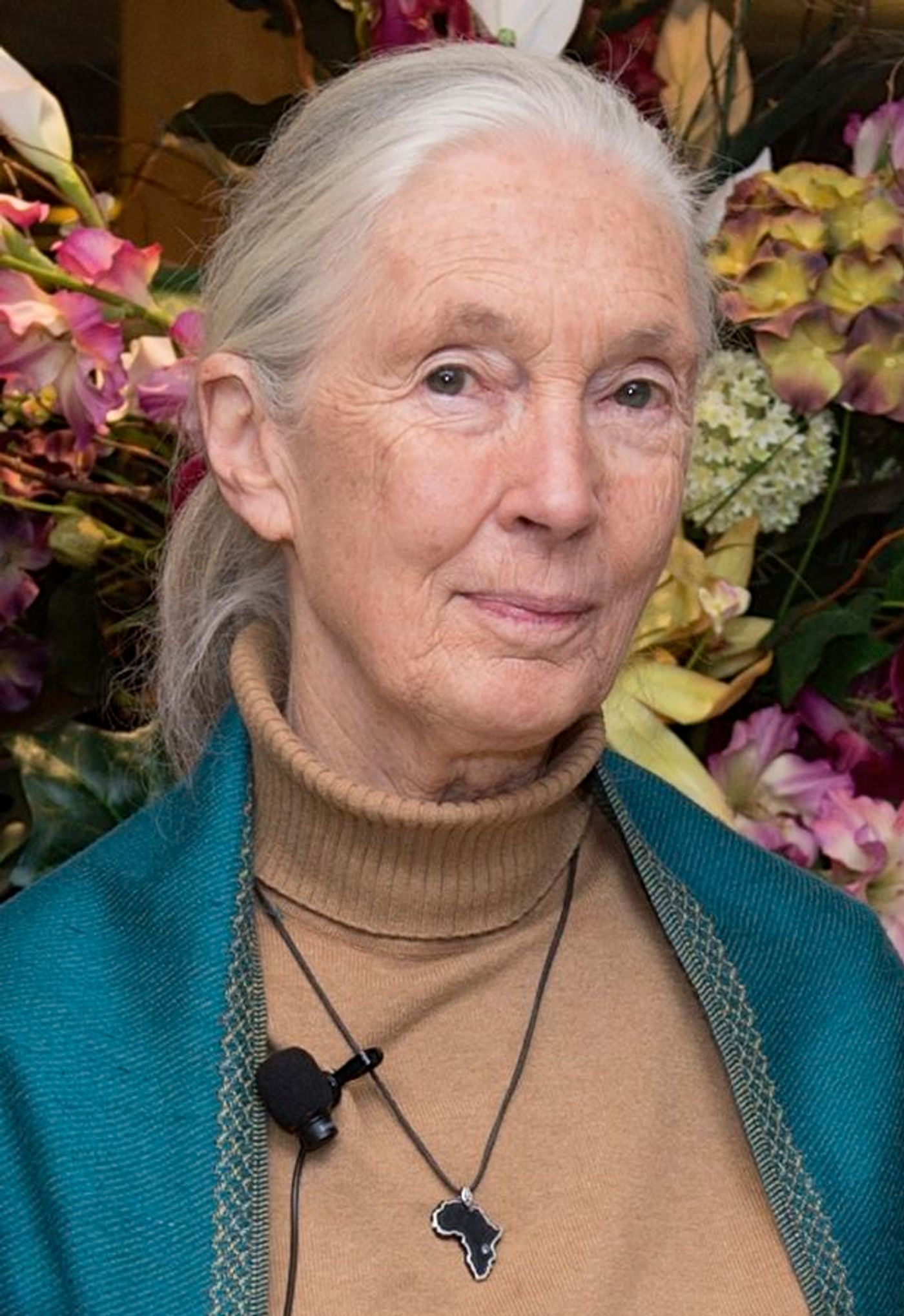  	Deputy Secretary Higginbottom Poses for a Photo With Dr. Jane Goodall and the State Department's Global Health Diplomacy Director Jordan in Washington / Credit: US Department of State