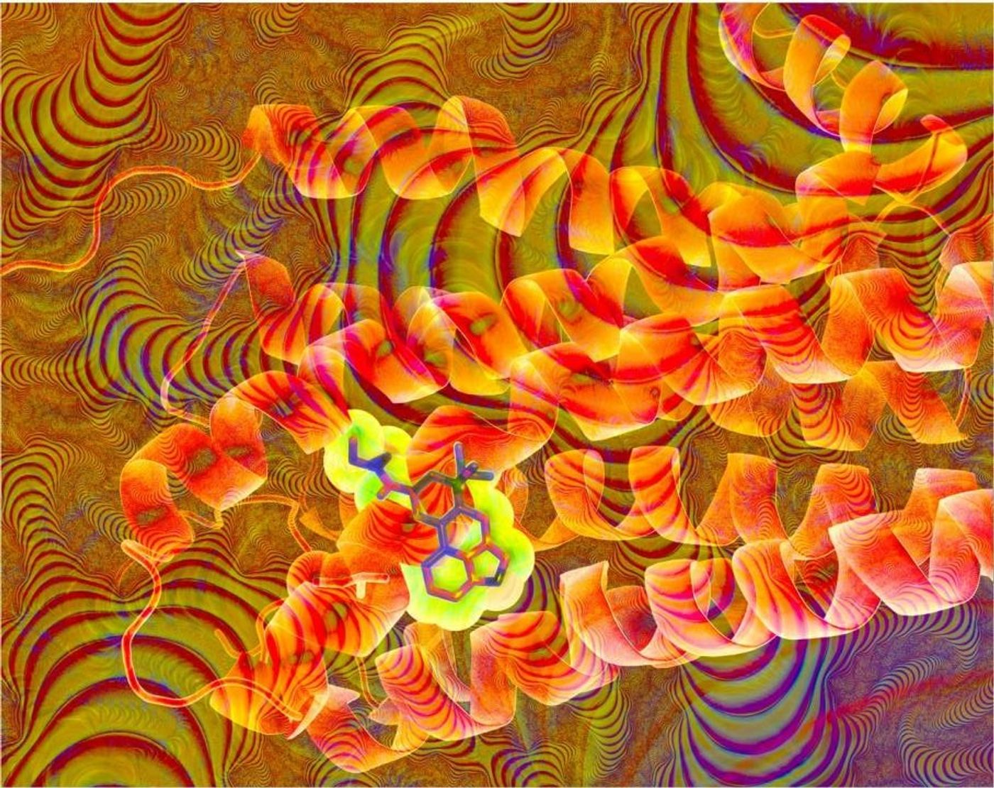 This image is an artistic representation of the chemical structure of LSD -- highlighted in yellow -- interlocking into a red-orange ribbon diagram of the serotonin receptor. / Credit: Annie Spikes