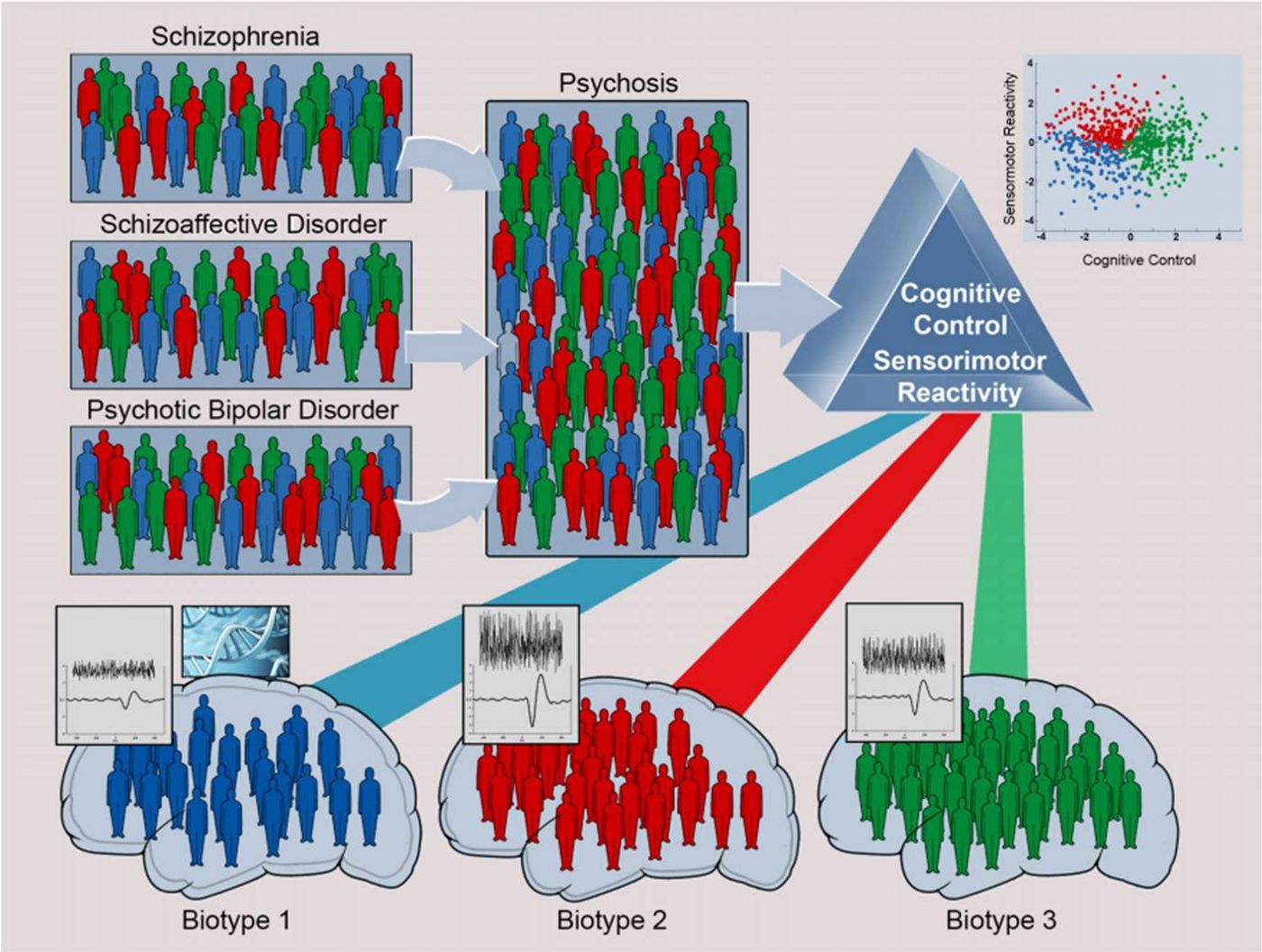 Creating Neurobiologically Distinct Psychosis Biotypes