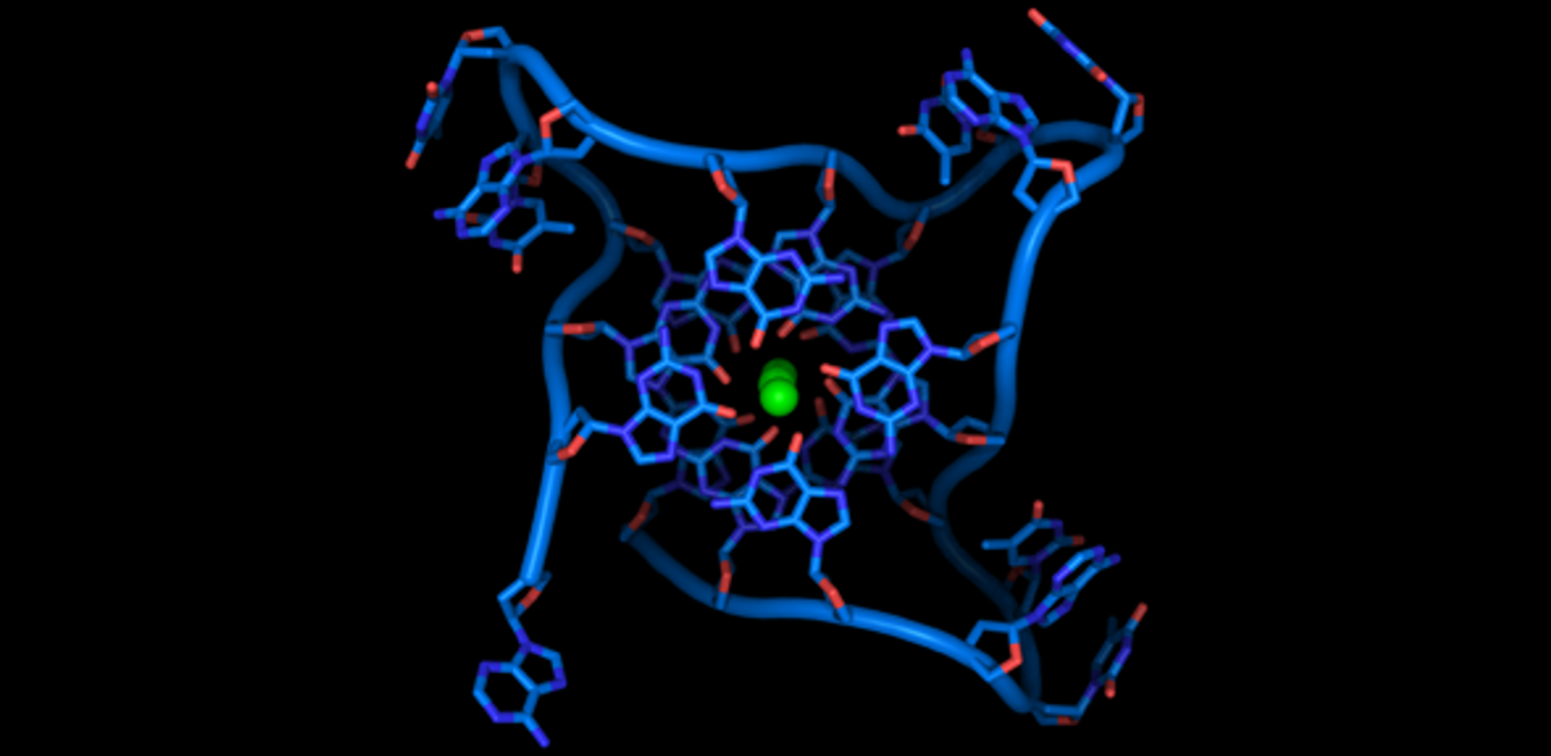 Square-shaped DNA helices abundant in cancer genes | Image: Balasubramanian Lab