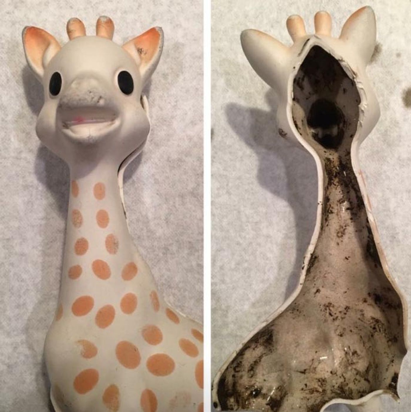 Sterilising sophie store the giraffe